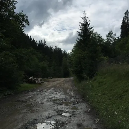 садиба у надії * Yasinya